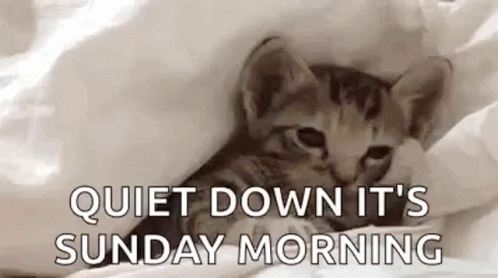 Black And White Cat Laying On Floor Have A Silly Sunday GIF