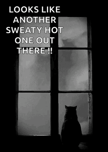 Black and White Cat Looking Out Window Saying Looks Like Another Sweaty Hot One Out There