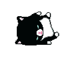 Black and White Cat Lying on Back