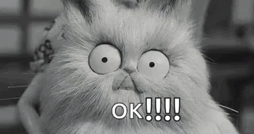 Black and White Cat Making Funny Face Saying Ok