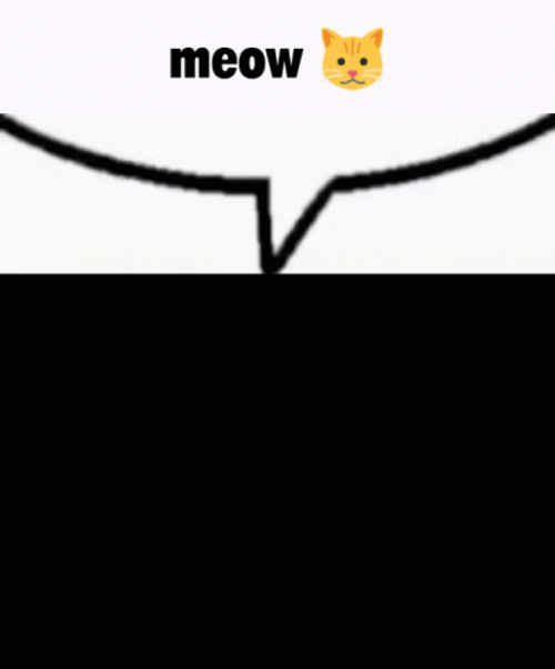 Black And White Cat Meow GIF