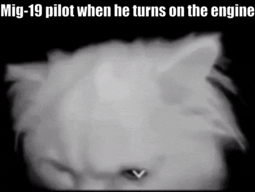 Black And White Cat Mig-19 Pilot Starts Engine GIF