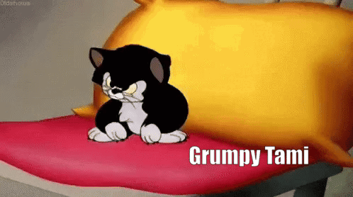 Black and White Cat on Red Pillow Saying Grumpy Tami