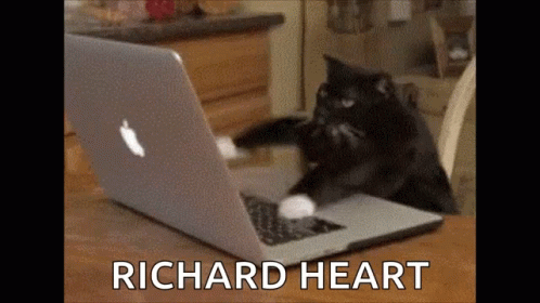 Black And White Cat Playing With Apple Laptop GIF