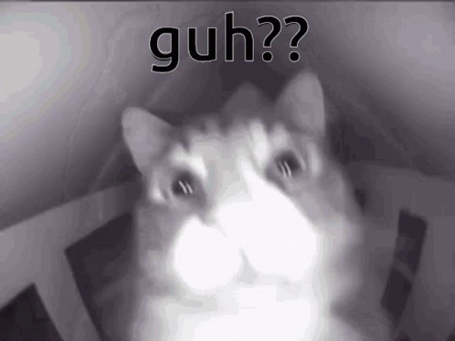 Black and White Cat Saying Guh