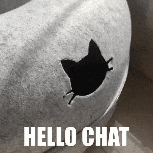 Black And White Cat Saying Hello Chat GIF