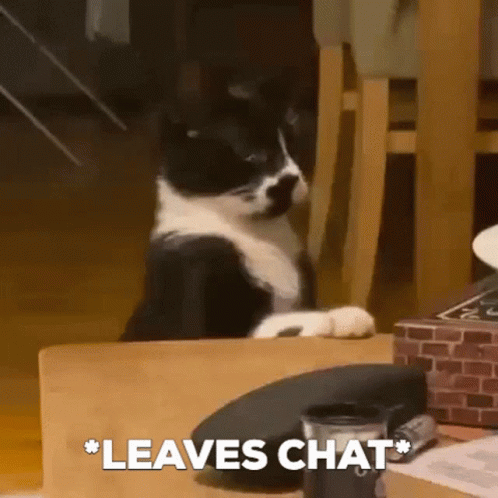 Black And White Cat Saying Leaves Chat GIF