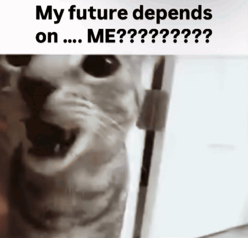 Black And White Cat Saying My Future Depends On Me GIF