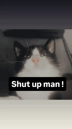 Black and White Cat Shut Up Man