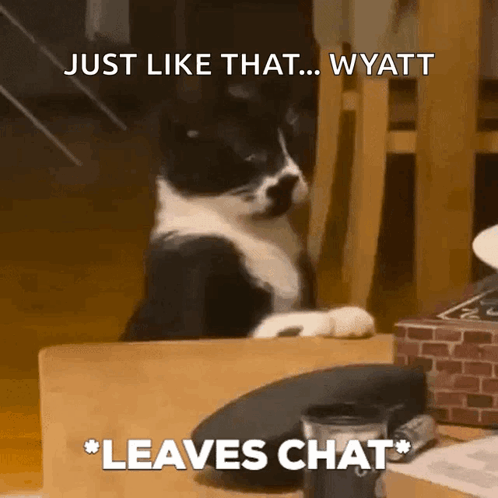 Black and White Cat Sitting