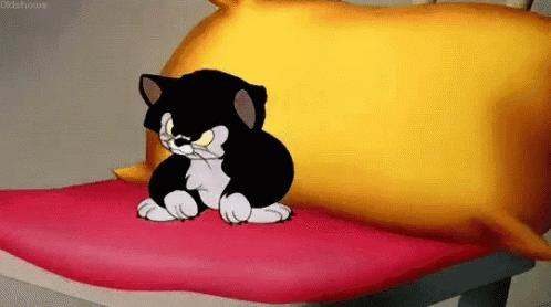 Black And White Cat Sitting On Bed GIF