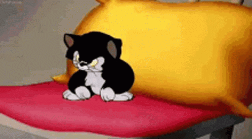 Black And White Cat Sitting On Bed With Pillow GIF