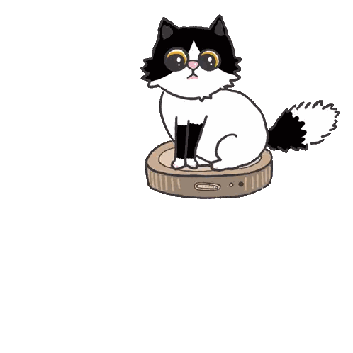 Black and White Cat Sitting on Round Object