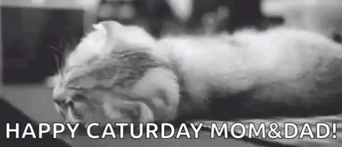 Black and White Cat Sleeping Happy Saturday Mom and Dad