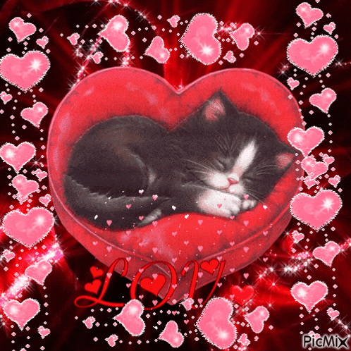 Black And White Cat Sleeping In Red Heart Pillow GIF