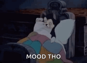 Black and White Cat Sleeping Mood Tho
