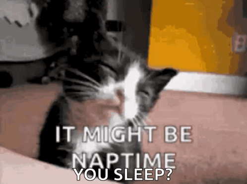 Black and White Cat Sleeping on Lap Says It Might Be Naptime You Sleep