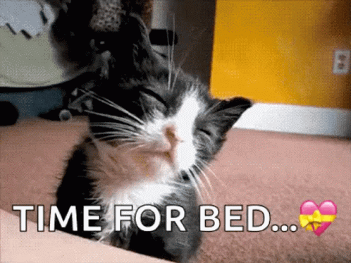 Black and White Cat Sleeping Time for Bed