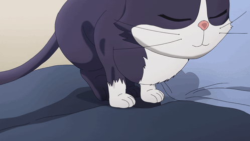 Black And White Cat Sleeping GIF