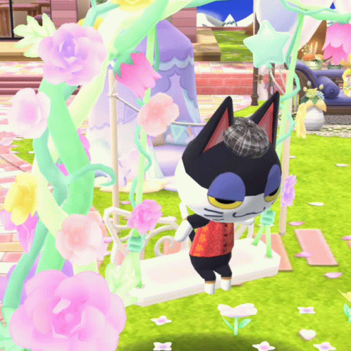Black and White Cat Standing on White Swing