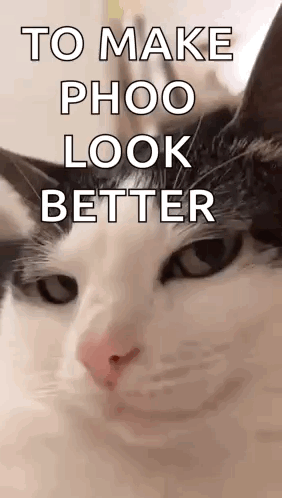 Black and White Cat To Make Phoo Look Better