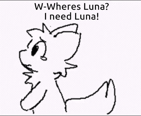 Black And White Cat W-Wheres Luna I Need Luna GIF
