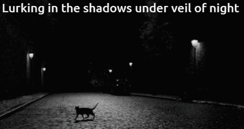 Black And White Cat Walking At Night Lurking In Shadows Under Veil Of Ni GIF