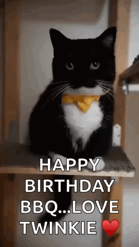 Black and White Cat Wearing Bow Tie Says Happy Birthday