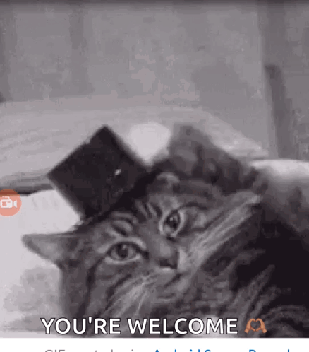 Black and White Cat Wearing Top Hat Saying Youre Welcome