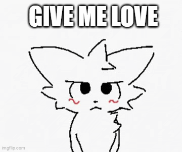Black and White Cat with Give Me Love