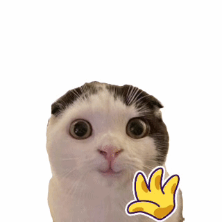 Black and White Cat With Hand Sticker