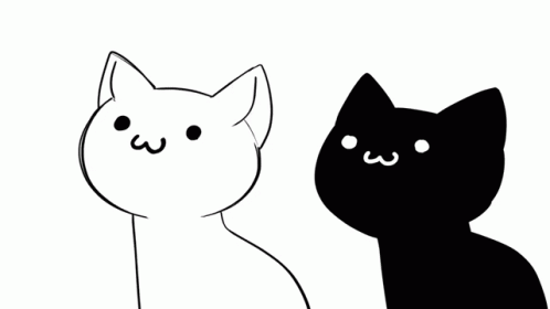 Black And White Cat With Yellow Square On Head GIF