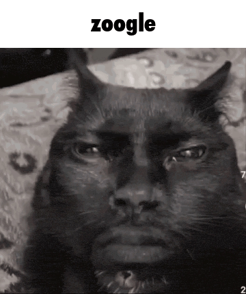 Black and White Cat Zoogle