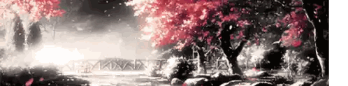 Black and White Cherry Blossom Tree