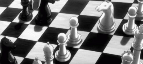 Black and White Chess Pieces