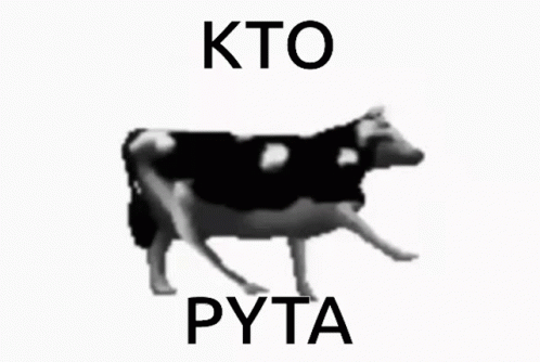 Black And White Cow Kto Pyta GIF