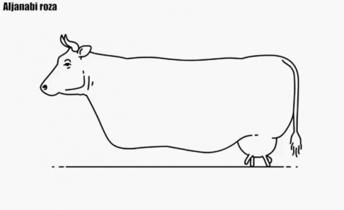 Black And White Cow Line Drawing Alija Nabi Roza GIF