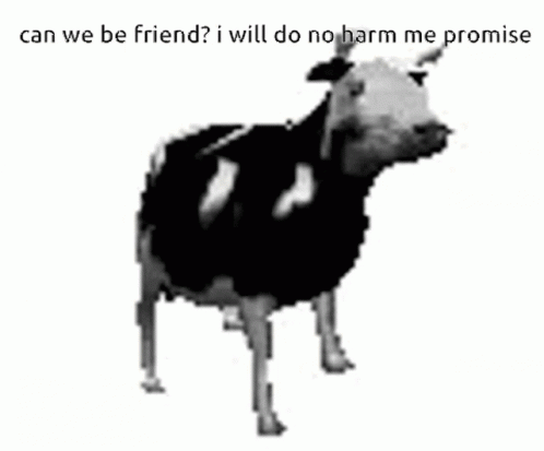 Black and White Cow Saying Can We Be Friend