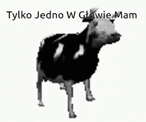 Black And White Cow Tylko Jedno W Głowie Mam GIF