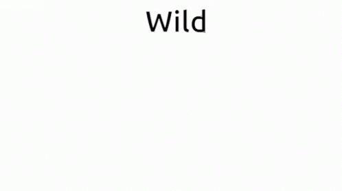 Black and White Cow With Word Wild