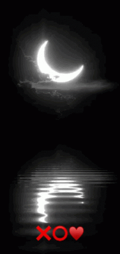 Black and White Crescent Moon XO Heart