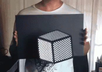 Black And White Cube Optic GIF
