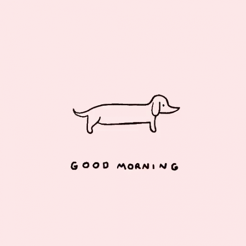 Black And White Dachshund Good Morning Pink Background