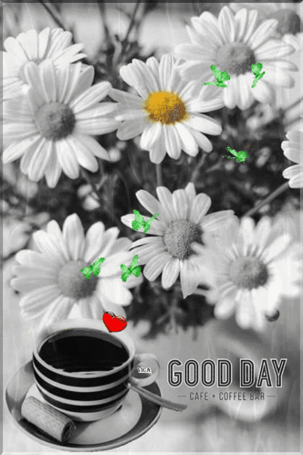 Black and White Daisies With Coffee Says Good Day Cafe Coffee Bar