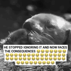 Black and White Dog He Stopped Ignoring It and Now Faces the Consequences