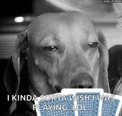 Black and White Dog Holding Playing Cards