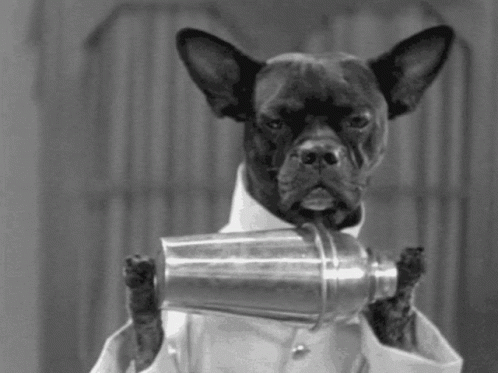 Black and White Dog in Lab Coat Holding Shaker