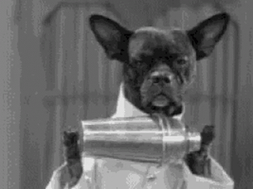 Black And White Dog In Suit Holding Shaker GIF