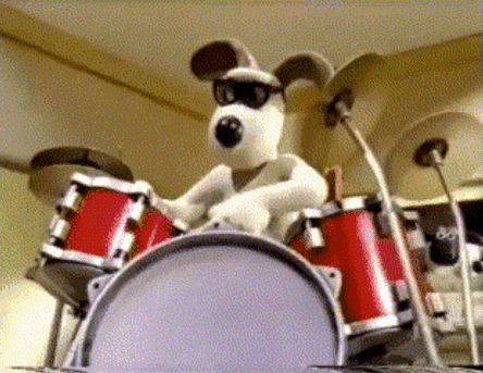 Black and White Dog Playing Drum