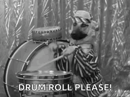 Black and White Dog Playing Drum Drum Roll Please